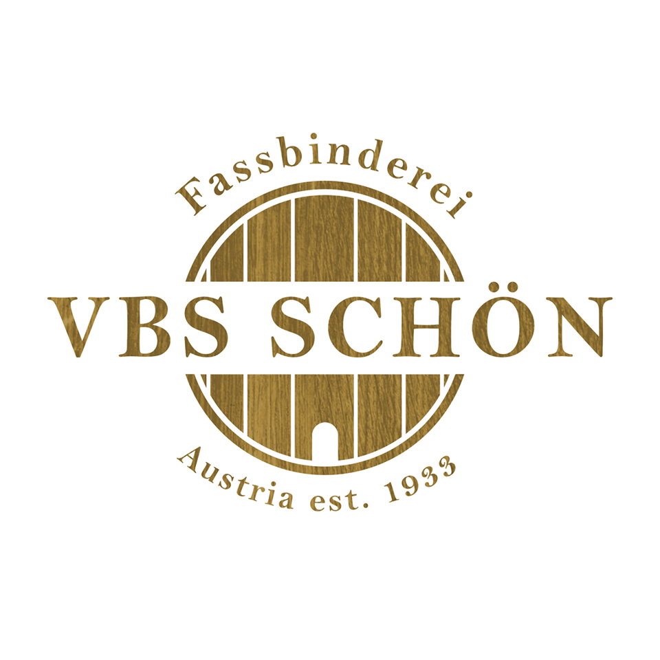 Logo VBS 2022